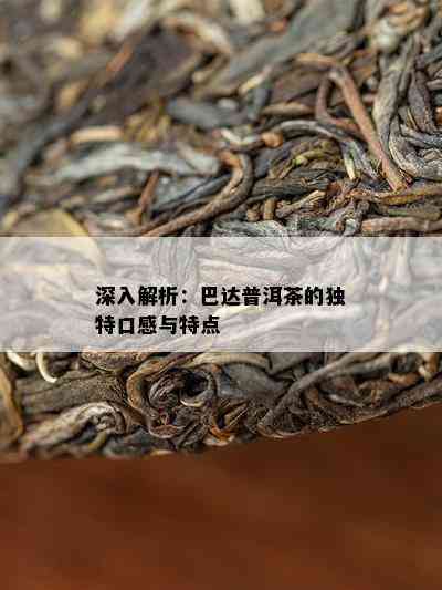 深入解析：巴达普洱茶的独特口感与特点