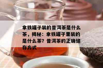 拿铁罐子装的普洱茶是什么茶，揭秘：拿铁罐子里装的是什么茶？普洱茶的正确储存方式