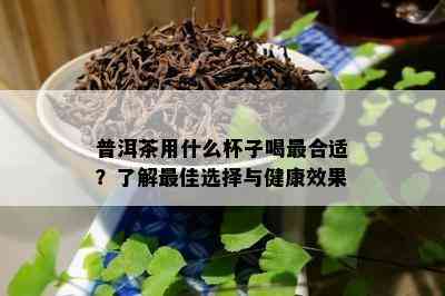 普洱茶用什么杯子喝最合适？了解更佳选择与健康效果