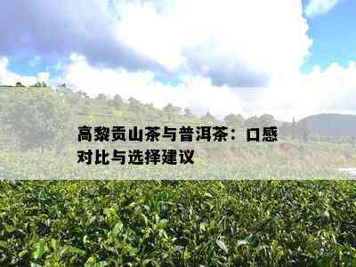 高黎贡山茶与普洱茶：口感对比与选择建议