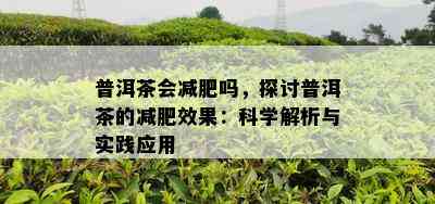 普洱茶会减肥吗，探讨普洱茶的减肥效果：科学解析与实践应用