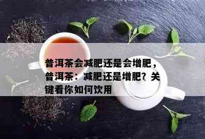 普洱茶会减肥还是会增肥，普洱茶：减肥还是增肥？关键看你怎样饮用