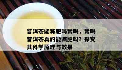 普洱茶能减肥吗常喝，常喝普洱茶真的能减肥吗？探究其科学原理与效果