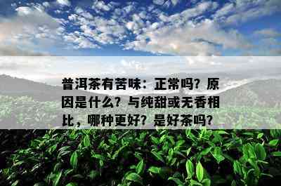 普洱茶有苦味：正常吗？原因是什么？与纯甜或无香相比，哪种更好？是好茶吗？