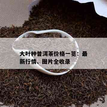 大叶种普洱茶价格一览：最新行情、图片全收录