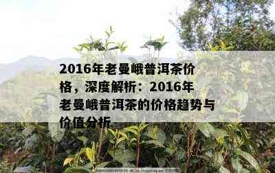 2016年老曼峨普洱茶价格，深度解析：2016年老曼峨普洱茶的价格趋势与价值分析