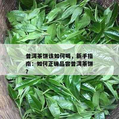 普洱茶饼该怎样喝，新手指南：怎样正确品尝普洱茶饼？