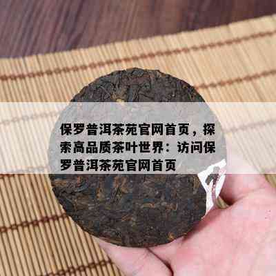 保罗普洱茶苑官网首页，探索高品质茶叶世界：访问保罗普洱茶苑官网首页