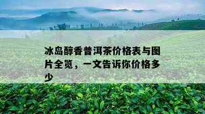 冰岛醇香普洱茶价格表与图片全览，一文告诉你价格多少