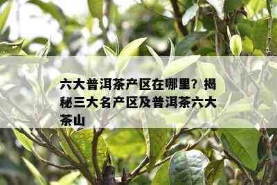 六大普洱茶产区在哪里？揭秘三大名产区及普洱茶六大茶山