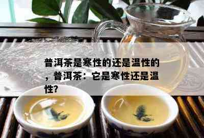 普洱茶是寒性的还是温性的，普洱茶：它是寒性还是温性？