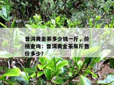 普洱黄金茶多少钱一斤，价格查询：普洱黄金茶每斤售价多少？