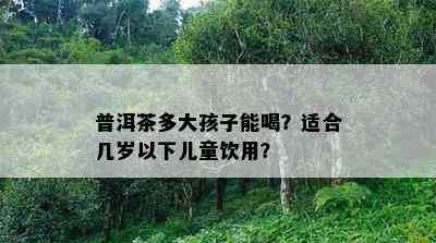 普洱茶多大孩子能喝？适合几岁以下儿童饮用？