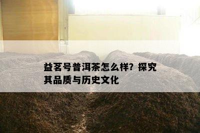 益茗号普洱茶怎么样？探究其品质与历史文化