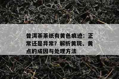 普洱茶茶纸有黄色痕迹：正常还是异常？解析黄斑、黄点的成因与处理方法