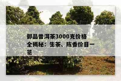 御品普洱茶3000克价格全揭秘：生茶、陈香价目一览