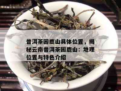 普洱茶困鹿山具  置，揭秘云南普洱茶困鹿山：地理位置与特色介绍