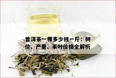 普洱茶一棵多少钱一斤：树价、产量、茶叶价格全解析