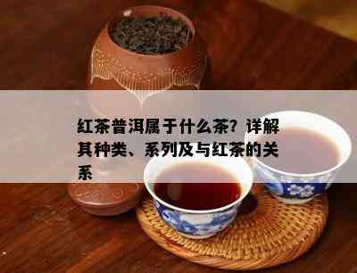 红茶普洱属于什么茶？详解其种类、系列及与红茶的关系