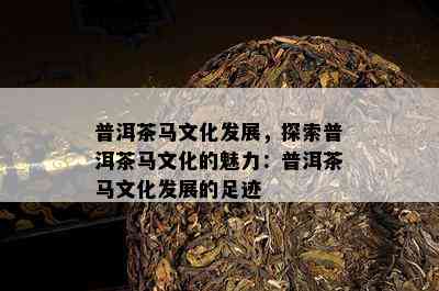 普洱茶马文化发展，探索普洱茶马文化的魅力：普洱茶马文化发展的足迹