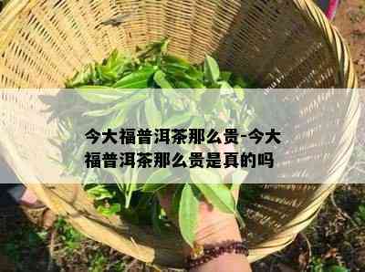 今大福普洱茶那么贵-今大福普洱茶那么贵是真的吗