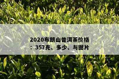 2020布朗山普洱茶价格：357克、多少、与图片