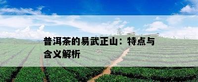 普洱茶的易武正山：特点与含义解析