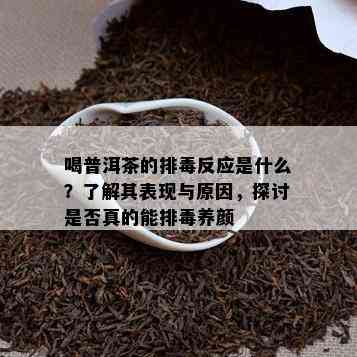 喝普洱茶的排反应是什么？熟悉其表现与起因，探讨是不是真的能排养颜