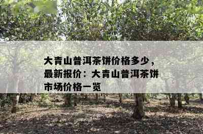 大青山普洱茶饼价格多少，最新报价：大青山普洱茶饼市场价格一览