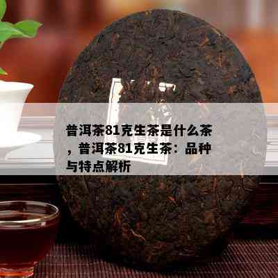 普洱茶81克生茶是什么茶，普洱茶81克生茶：品种与特点解析