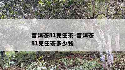 普洱茶81克生茶-普洱茶81克生茶多少钱