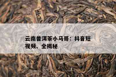 云南普洱茶小马哥：抖音短视频、全揭秘