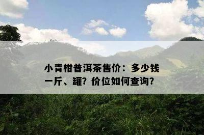 小青柑普洱茶售价：多少钱一斤、罐？价位怎样查询？