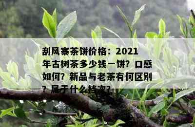 刮风寨茶饼价格：2021年古树茶多少钱一饼？口感如何？新品与老茶有何区别？属于什么档次？