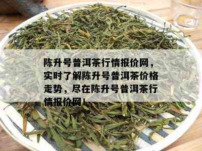 陈升号普洱茶行情报价网，实时了解陈升号普洱茶价格走势，尽在陈升号普洱茶行情报价网！