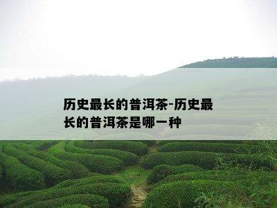 历史最长的普洱茶-历史最长的普洱茶是哪一种