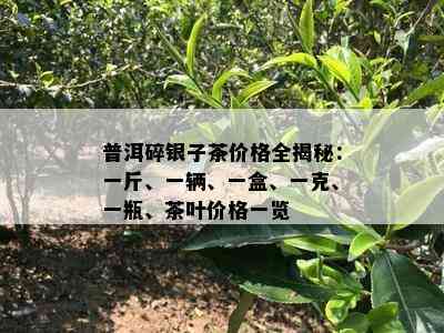 普洱碎银子茶价格全揭秘：一斤、一辆、一盒、一克、一瓶、茶叶价格一览