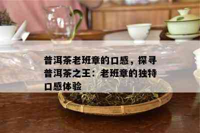 普洱茶老班章的口感，探寻普洱茶之王：老班章的独特口感体验