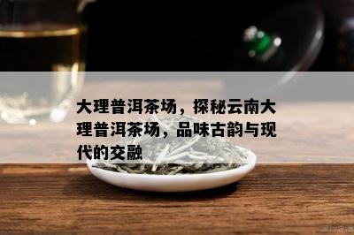 大理普洱茶场，探秘云南大理普洱茶场，品味古韵与现代的交融