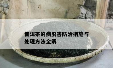 普洱茶的病虫害防治措施与解决方法全解