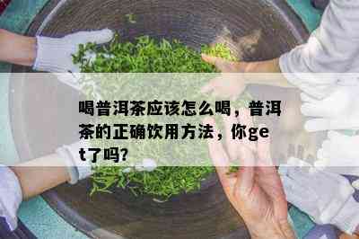 喝普洱茶应该怎么喝，普洱茶的正确饮用方法，你get了吗？