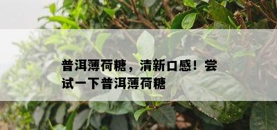 普洱薄荷糖，清新口感！尝试一下普洱薄荷糖