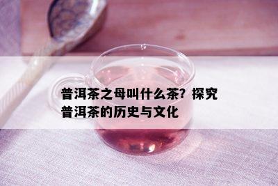 普洱茶之母叫什么茶？探究普洱茶的历史与文化