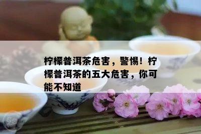 柠檬普洱茶危害，警惕！柠檬普洱茶的五大危害，你可能不知道