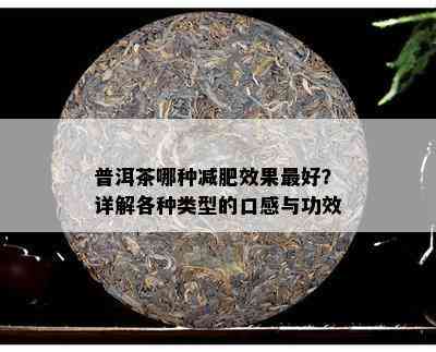 普洱茶哪种减肥效果更好？详解各种类型的口感与功效