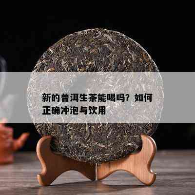 新的普洱生茶能喝吗？怎样正确冲泡与饮用