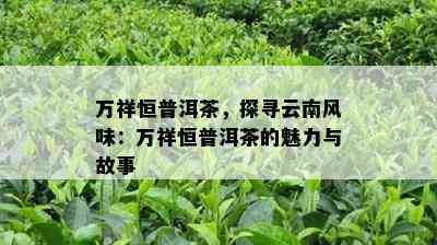 万祥恒普洱茶，探寻云南风味：万祥恒普洱茶的魅力与故事