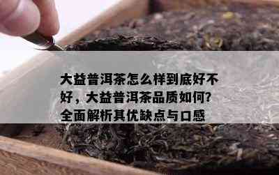 大益普洱茶怎么样到底好不好，大益普洱茶品质如何？全面解析其优缺点与口感