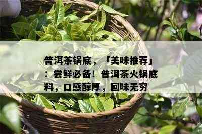 普洱茶锅底，「美味推荐」：尝鲜必备！普洱茶火锅底料，口感醇厚，回味无穷