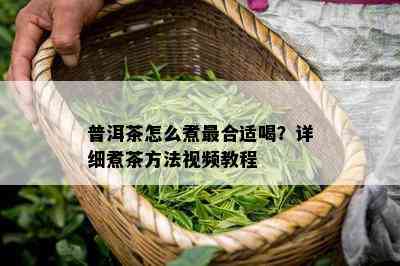 普洱茶怎么煮最合适喝？详细煮茶方法视频教程